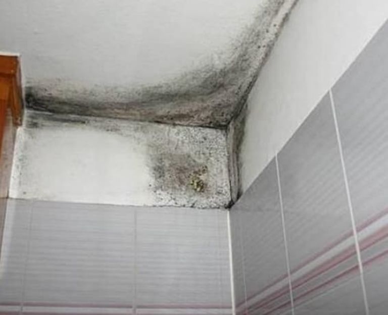 humedade spor condensación en baños de piso tarragona